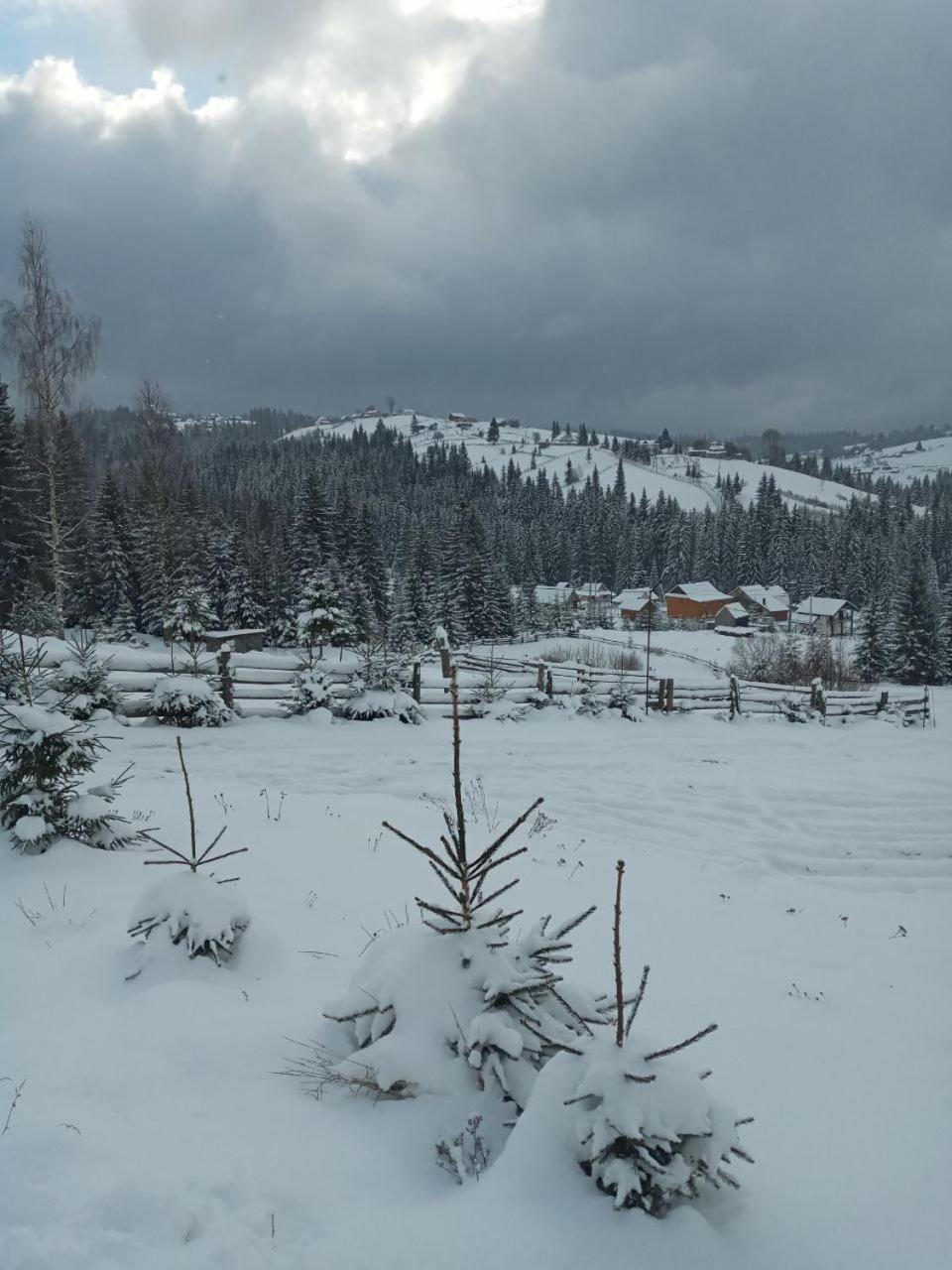 Котеджі Зоряне Небо Bukowel Exterior foto