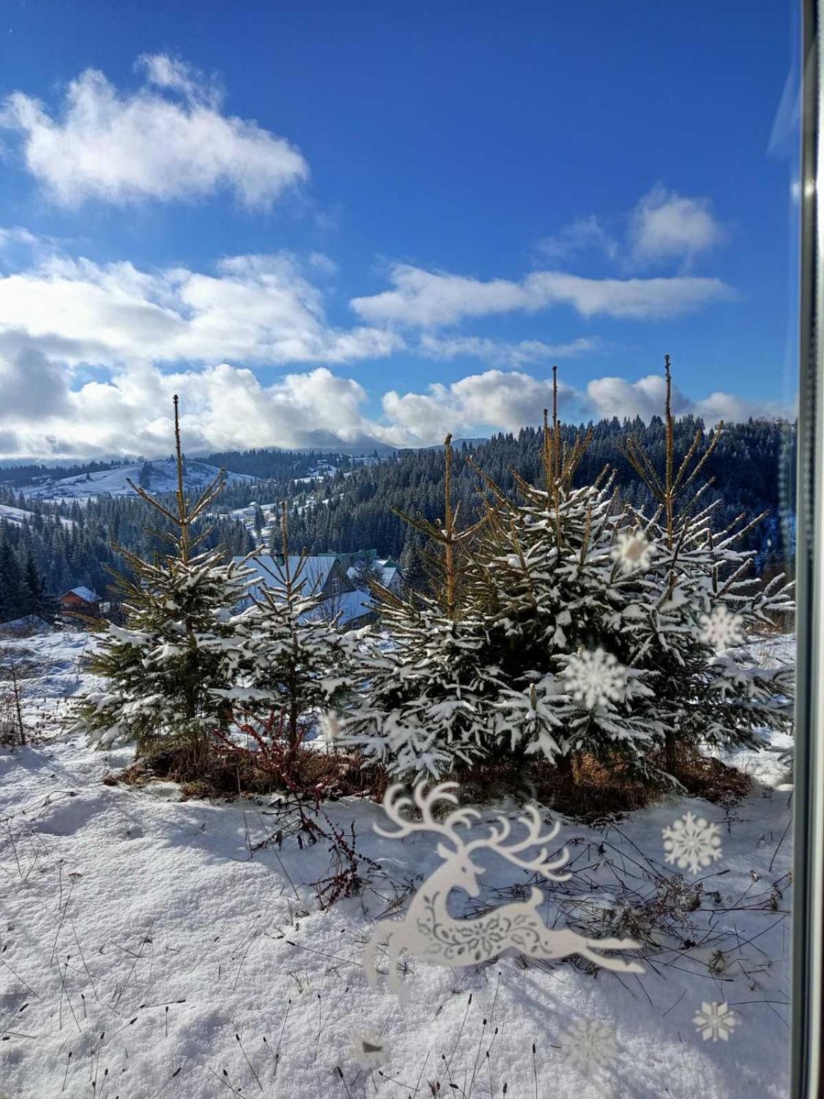 Котеджі Зоряне Небо Bukowel Exterior foto